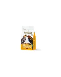 Padovan Wellness Australian Bird täistoit lindudele / 850g