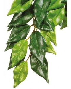 Terraariumi kunsttaim Exo Terra Silk Plant Ficus / Small 