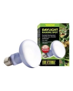 Terraariumi lamp Daylight Basking Spot R25 100W PT2133