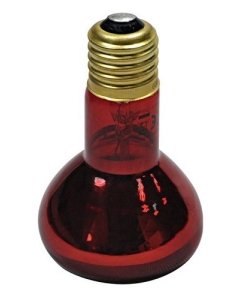 Terrariumi lamp Night Infrared RPL03 50W red