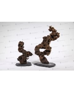 Triivpuu Congo Tree, S / 20cm