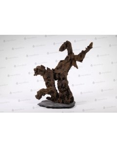 Triivpuu Congo Tree, S / 20cm