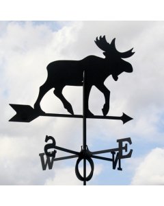 Tuulelipp Põder