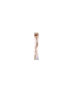 FLAMINGO Nature Snack veise peanahk / 50cm (100g)