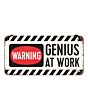 Металлический декоративный постер / Warning - Genius at work 10x20 см