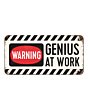 Металлический декоративный постер / Warning - Genius at work 10x20 см