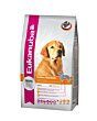 Eukanuba - для взрослых собак породы Голден Ретривер 12 kg