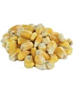 Mais teradena / 25kg