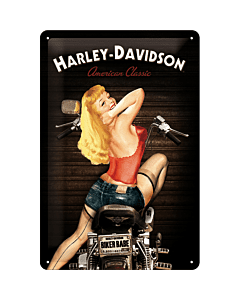 Metallplaat 20x30cm / Harley-Davidson Biker Babe / KO