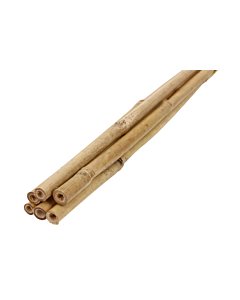 Bambustugi kõrgus 0,6m, Ø 6-8 mm 6tk/kmpl