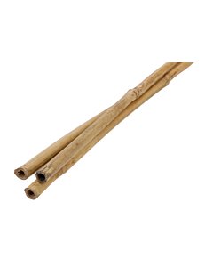Bambustugi kõrgus 1,2m, Ø 10-12 mm 3tk/kmpl
