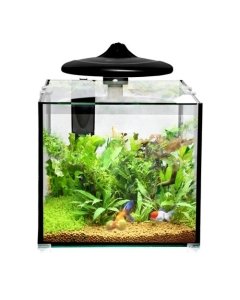 Akvaarium CLEAR CUBE CC30 KOMPLEKT 32L 350x320x318mm