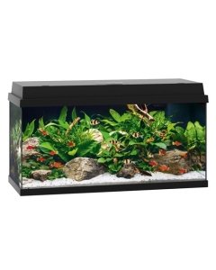 Akvaarium Primo LED 110 L must