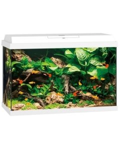 Akvaarium Primo LED 70 L valge