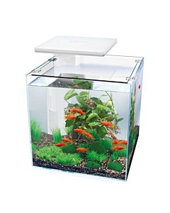 Akvaarium QB-30 LED 30L valge 320x320x320mm