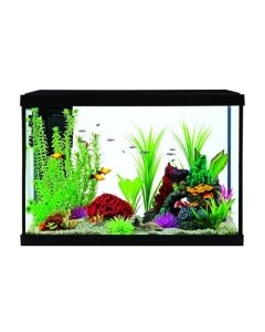Akvaarium STARTER KIT STK20 75.7L 612x320x431mm