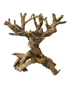 Akvaariumi dekoor Bonsai 22x19x20,5cm pruun