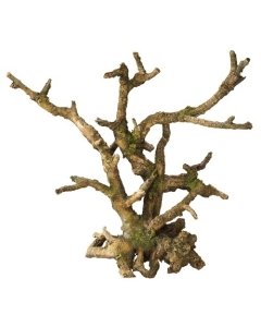 Akvaariumi dekoor Bonsai ilma lehtedeta 25,5x10x24cm pruun