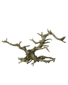 Akvaariumi dekoor Bonsai ilma lehtedeta 35,5x10x17,5cm hall