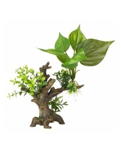 Akvaariumi dekoor Florascape 6 S 14,5x9x16,5cm