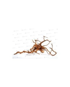 Triivpuu Red moor Wood, mini / 10-20cm