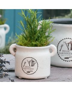 Горшок для травы Belle Jardiniere, высота 7см