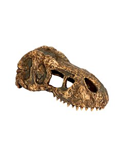 EXO-TERRA T-Rex Skull terraariumi dekoratsioon/varjend Dinosauruse kolju