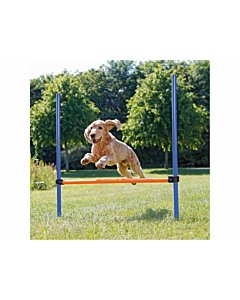 DogActivity Agility hurdle plastik123×115 cm sinine/oranz