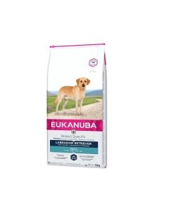 Koeratoit Eukanuba Labrador Retriever kuivtoit 