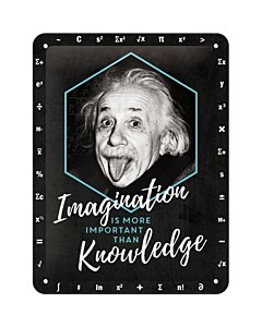 Metallplaat 15x20cm / Einstein - Imagination & Knowledge