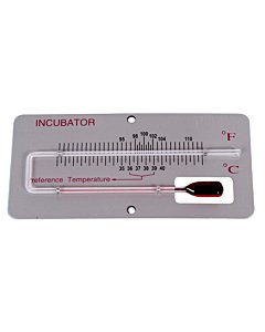 Inkubaatori termomeeter
