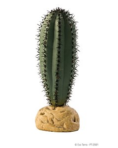 Terraariumi dekoratsioon Saguaro Cactus