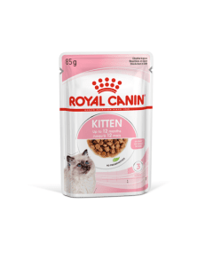 Royal Canin FHN Kitten Instinctive in Gravy konserv kassipojale 