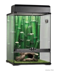 Terraariumi Exo Terra Bamboo Forest Habitat large / 45x45x60cm