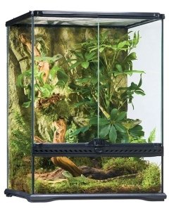 Klaasist terraarium - Exo Terra Natural, Small/tall / 45x45x60cm (PT2607) 