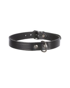 Koera kaelarihm Basic XS black / 19-24cm 12mm
