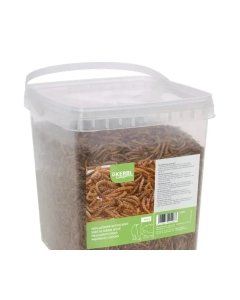 Kuivatatud jahuussid on looduslik valgurikas väärtuslik söödalisand kanadele.