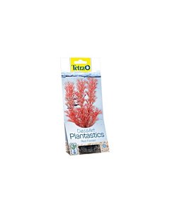 Plastist taim Tetra Foxtail Red,M