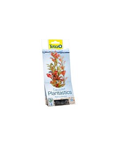 Plastist taim Tetra Red Ludwigia,M