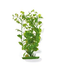 Plastist taim Marina AquaScaper 30cm - Cardamine