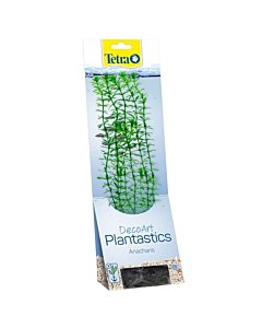 Plastist taim Tetra Anacharis,L