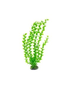 Plastist taim M017 40cm