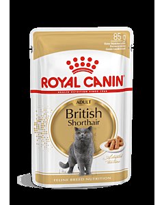 Royal Canin FBN BRITISH SHORTHAIR WET (85g x 12)