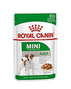 Royal Canin SHN MINI ADULT WET (85g x 12)
