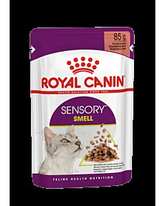 Royal Canin FHN Sensory Smell gravy 12x85g