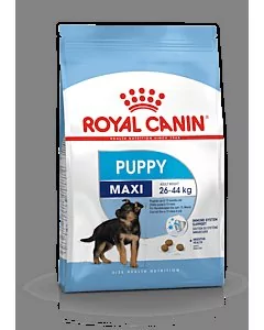 Royal Canin SHN Maxi Puppy / 4kg 
