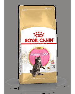 Royal Canin FBN MAINE COON KITTEN 10 kg