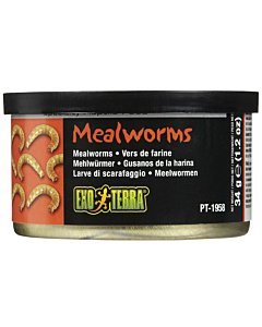 Roomajate sööt Exo Terra Mealworms / 34g	