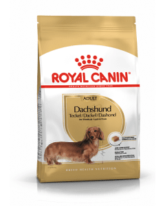 Royal Canin BHN Dachshund Adult koeratoit