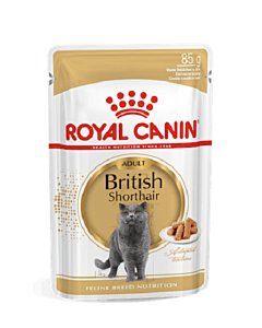 Royal Canin FBN BRITISH SHORTHAIR WET (85g x 12)